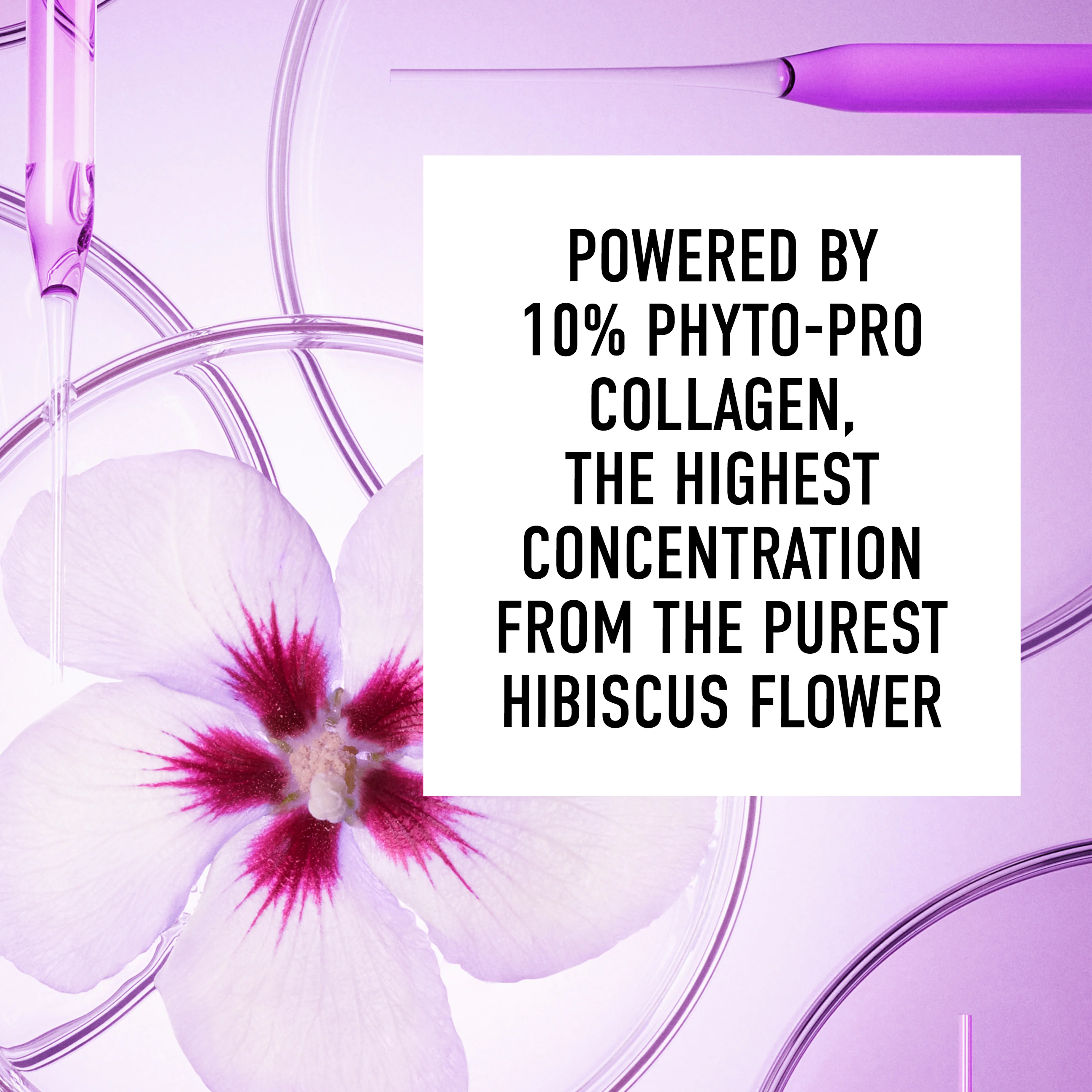 AGELESS 10% Phyto ProCollagen Firming Sleeping Mask 3 AGELESS 10% Phyto ProCollagen Firming Sleeping Mask
