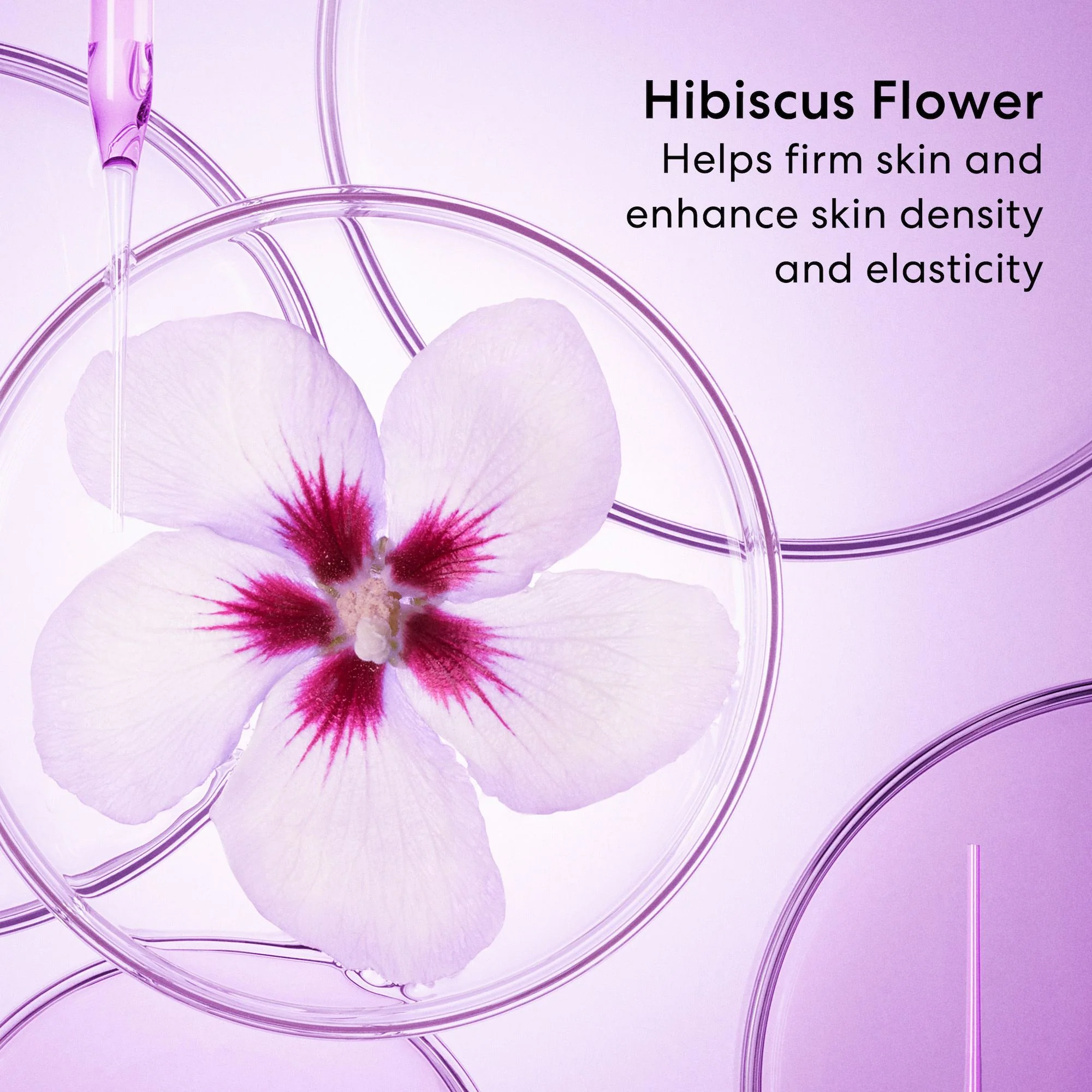 AGELESS 10% Phyto ProCollagen Firming Sleeping Mask 5 AGELESS 10% Phyto ProCollagen Firming Sleeping Mask
